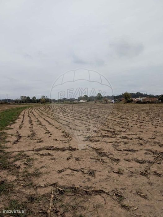 Terreno  para venda