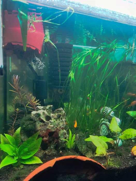 Akwarium 70l stabilne