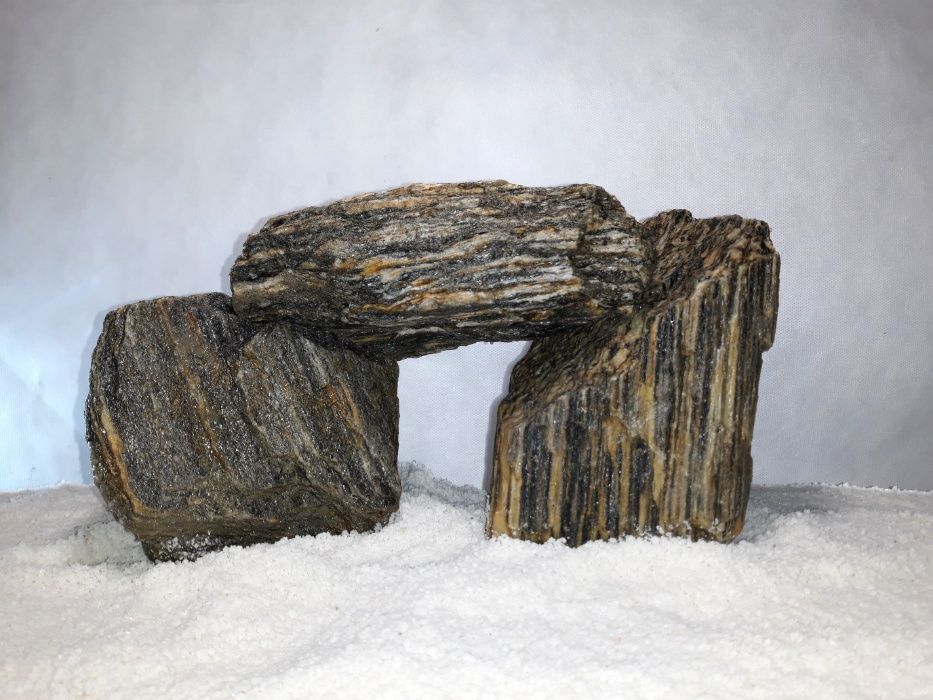 Łupek drzewiasty do akwarium - wszystkie biotopy 50-250 mm