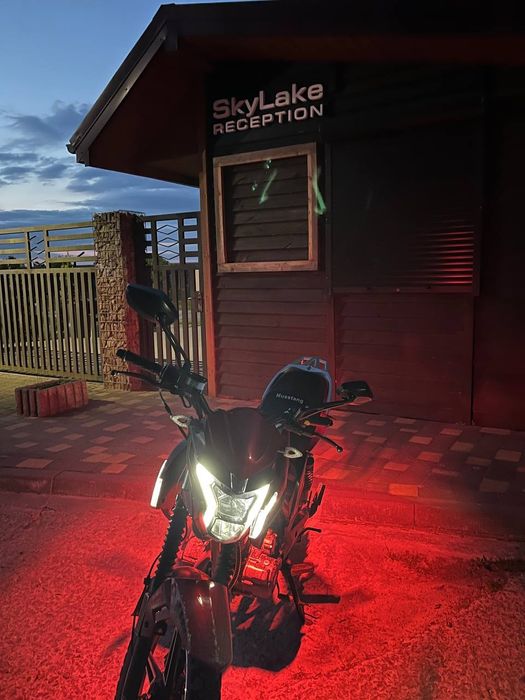 Musstang fortuna 200