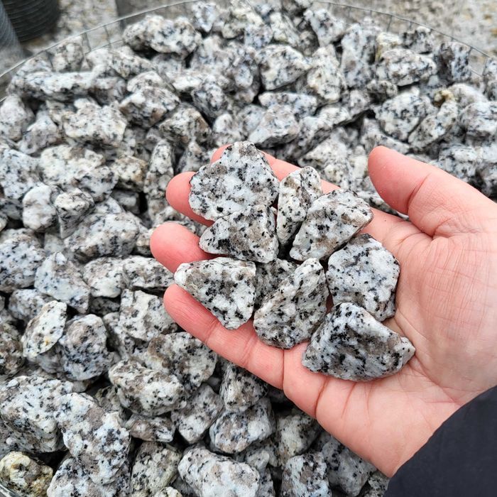 Granit Dalmatyńczyk grys granitowy Kamień ogrodowy rabaty opaski akwarium