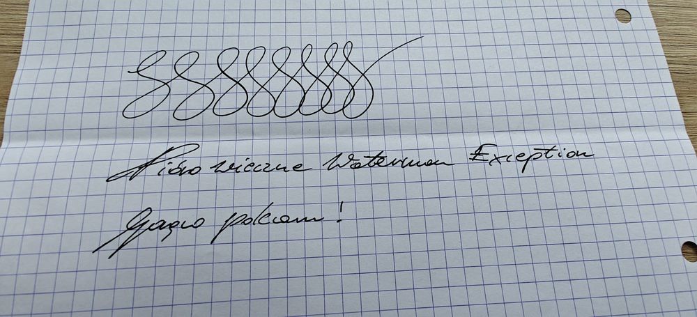 Pióro wieczne Waterman Exception