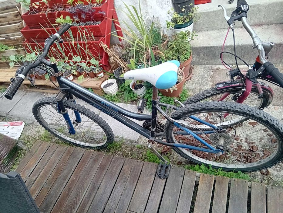 Bicicleta 2 por preço de 1