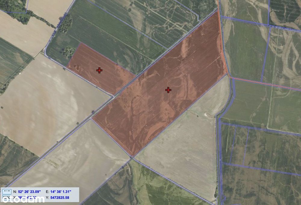 Na sprzedaż: Zadbane grunty rolne 46,8 ha –  (Pławidło)