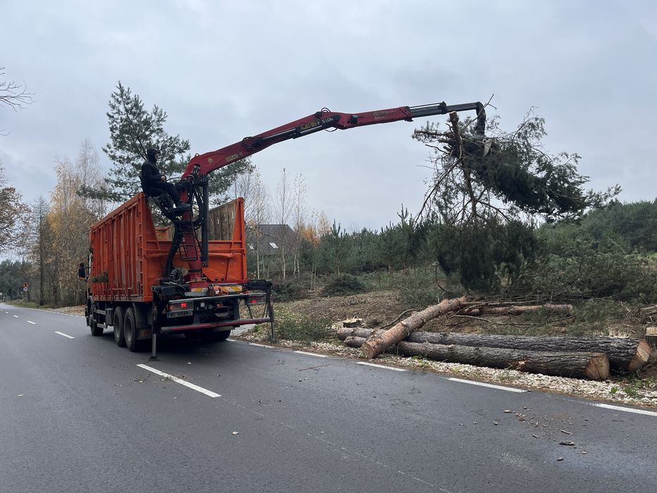 Frezowanie karp usuwanie pni korzeni rebak podnosnik