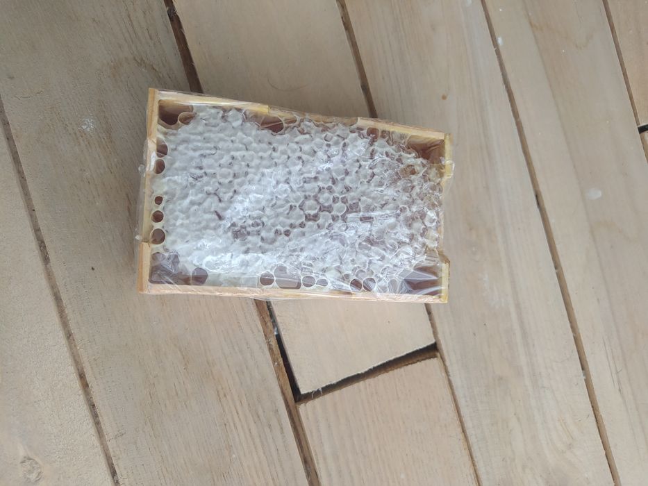 Мед стільниковий, гірський