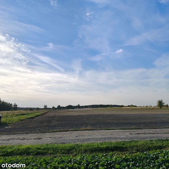 Sprzedam 4 działki budowlane w Mazurowicach - Widok 2