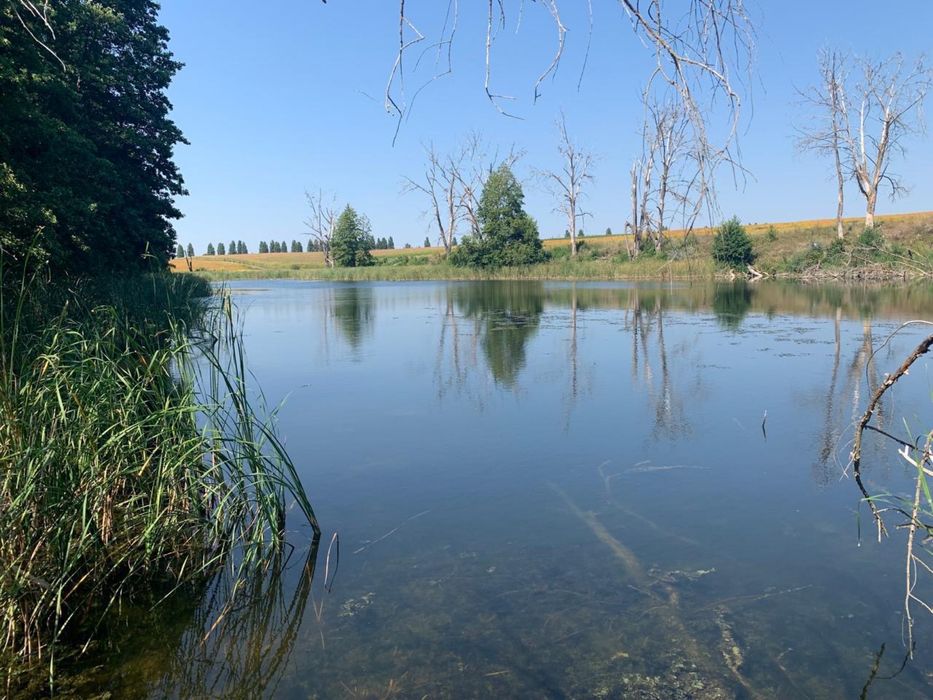 Земельна ділянка, ставок (озеро), вихід до води