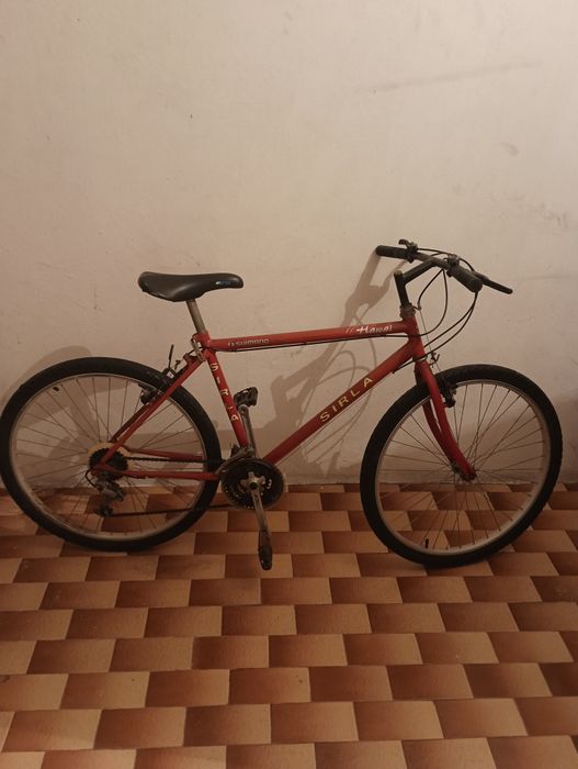 Bicicleta todo terreno
