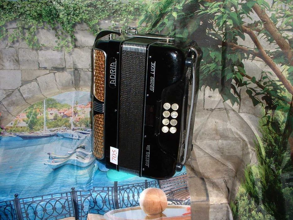Concertina a venda n.705