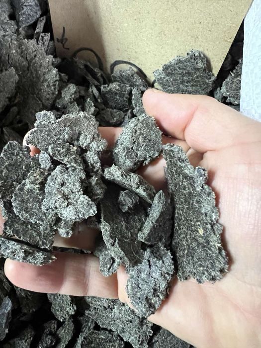 Макуха соняшникова