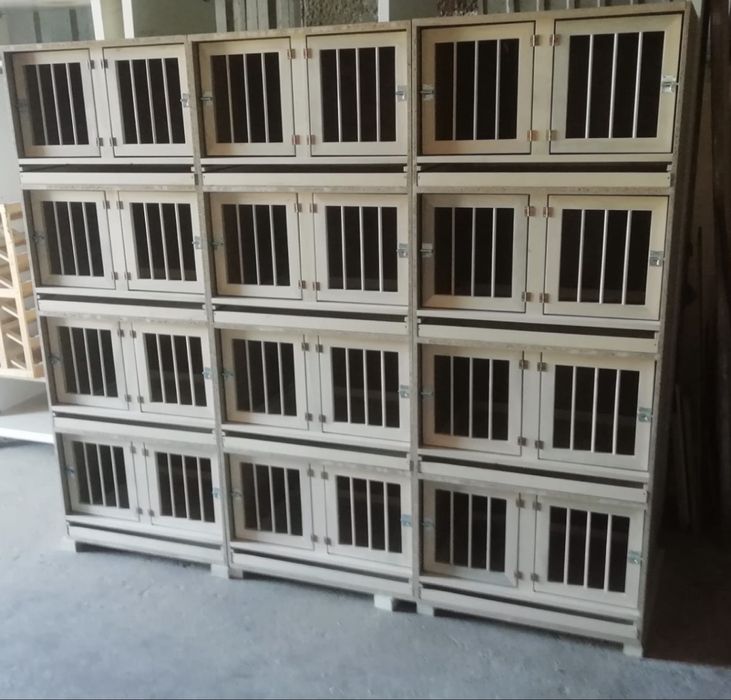 Vendo casulos para Criaçao