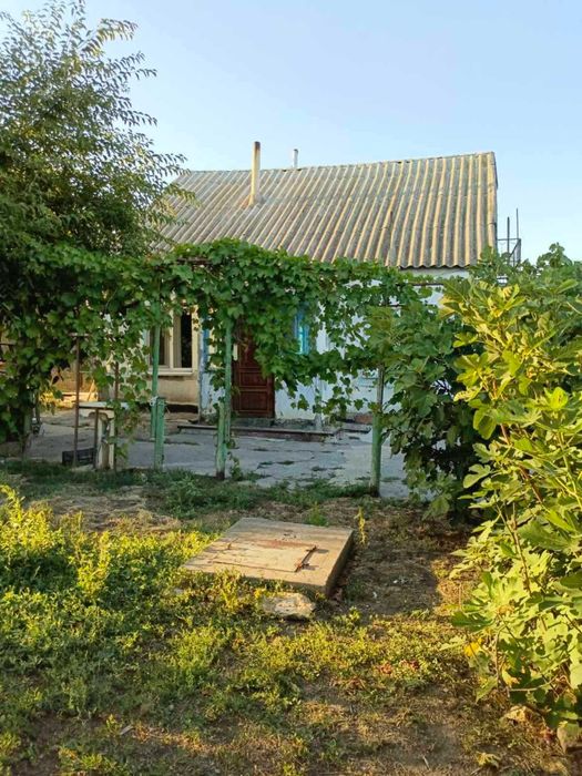 Продам дом в с Алтестово. Рядом лес и Хаджибеевский лиман. Торг