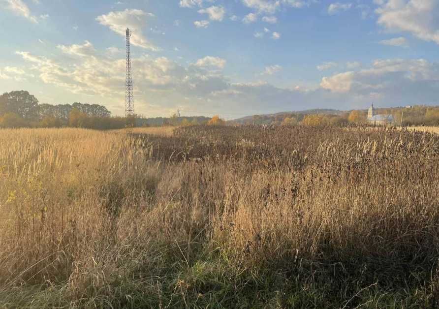 земельна ділянка 0.0827га, КН 2124410100:11:002:0183, Закарпатська обл