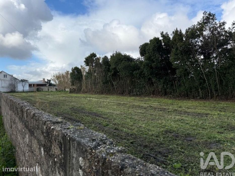 Terreno em Monte Real e Carvide