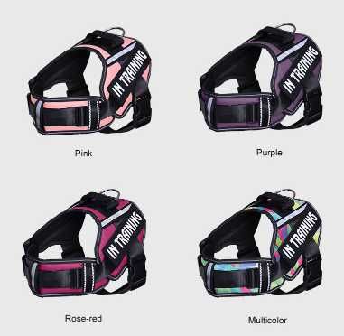 Arnês Nylon Personalizado Cães Conforto/Estilo para o seu Melhor Amigo