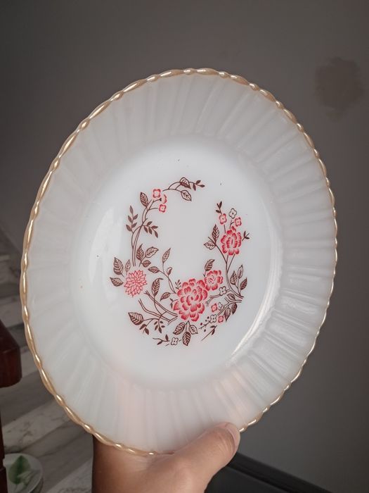 18 pratos Termocrisa México