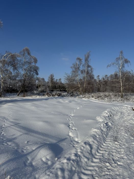 Продаж земельної ділянки, Горбовичі. 59 соток.