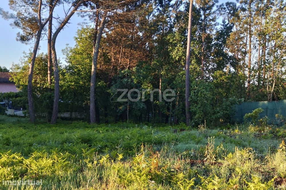 Terreno Urbanizável Vila Chã de Sá