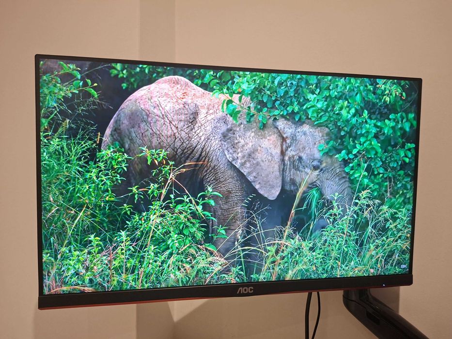 2 Monitores AOC 24G2SU/BK 23.8" 165Hz
