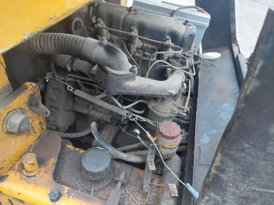 Wuzek widłowy bulgar