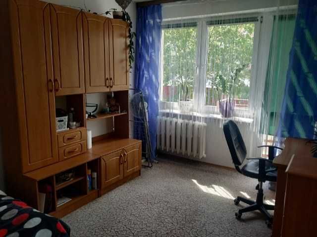 Zdjęcie 2