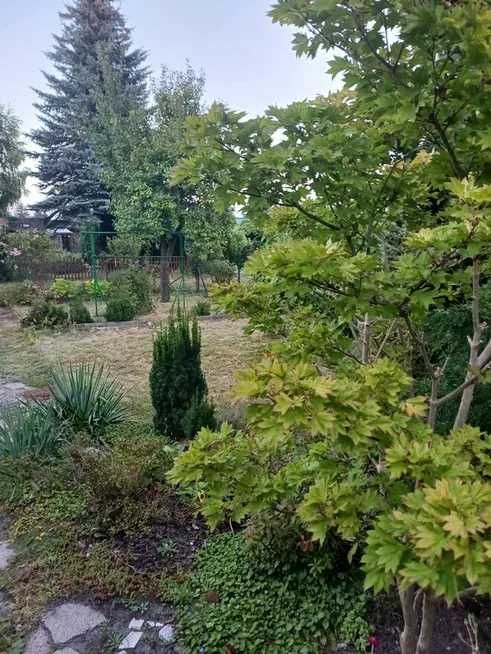 Dzialka ROD im Lotnictwa Polskiego w Poznaniu