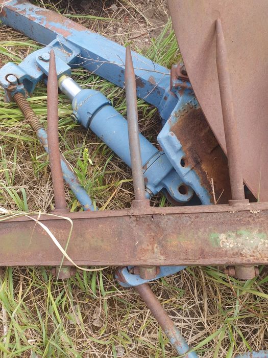 Zęby proste do krokodyla