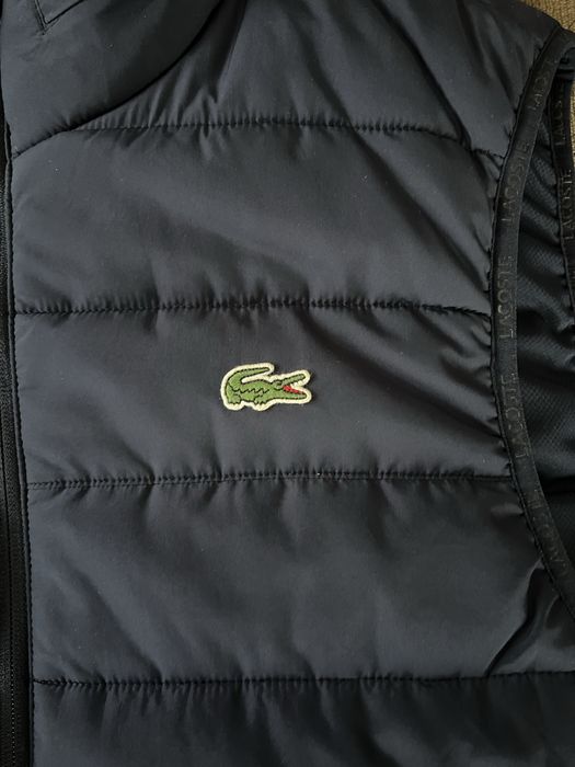 Colete azul da Lacoste