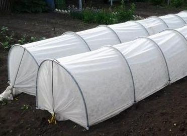 Парник з агроволокна  "Єконом" 40 г/м2 від 3м до 8м . 80смх120см