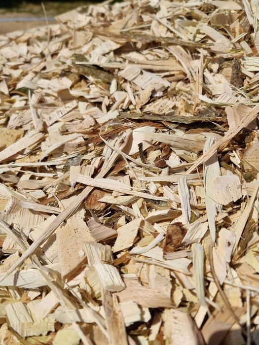 Zrębka Drzewna - Ogrodowa