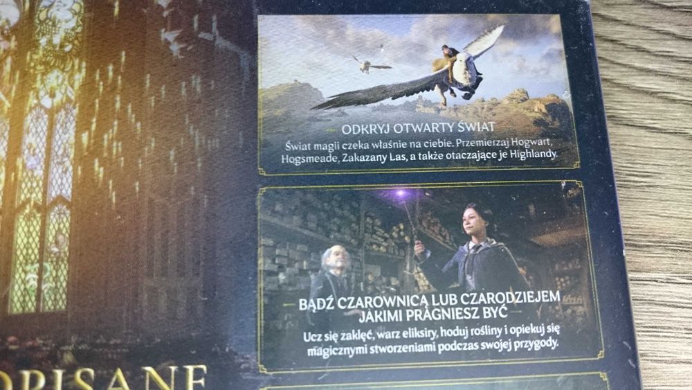 Hogwarts Legacy ps4 playstation 4 Dziedzictwo Hogwartu Harry Potter