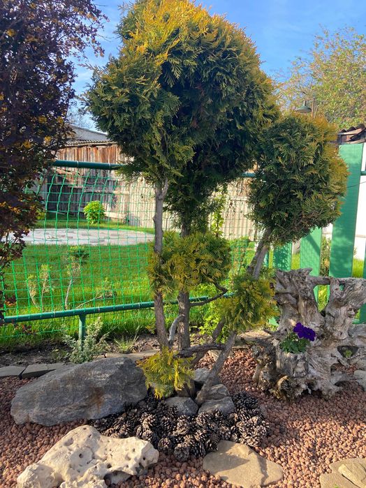 Услуги садовника, уход за территорией, стрижка растений