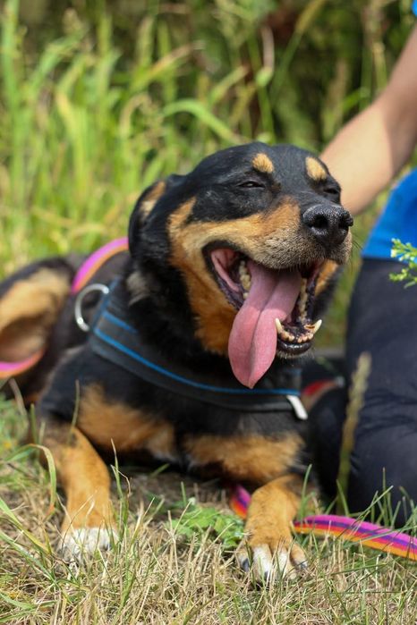 Blagamy o dom dla snapiego