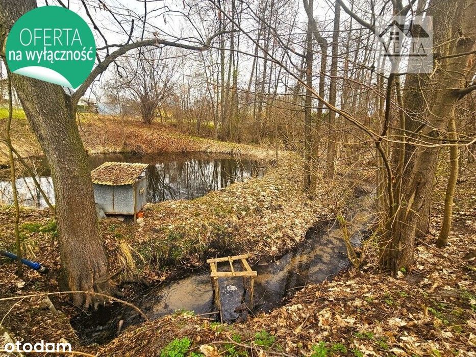 Wyjątkowa działka z potencjałem blisko Poniatowej - Widok 4