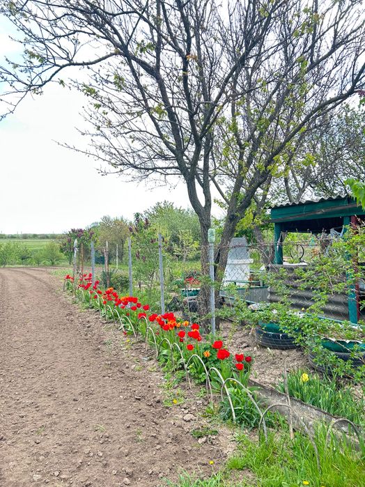 Продам земельну ділянку в Івашках! Під забудову чи дачу!!!