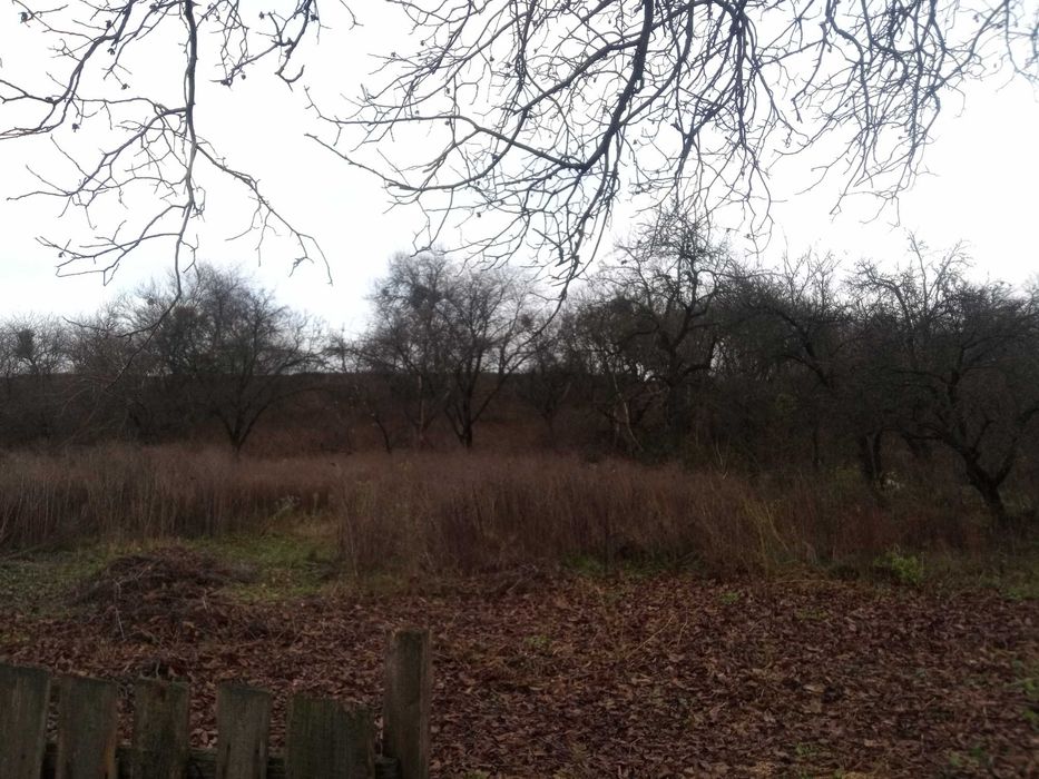 будинок с. Долина