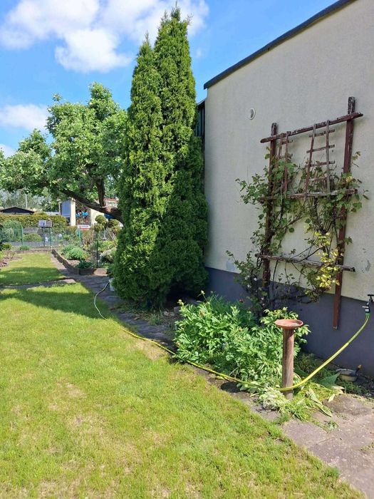 Działka ROD ,,Róża'' Bydgoszcz