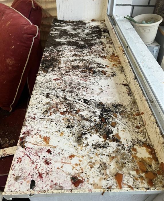 ‼️СВЕТ ЕСТЬ‼️Клининг.Уборка,прибирання Хімчистка меблів