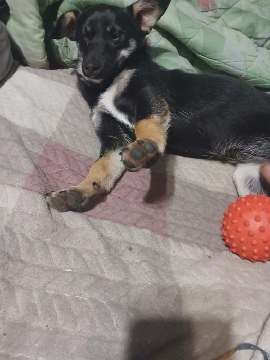 Маленька дівчинка: 1 рік, 5 кг