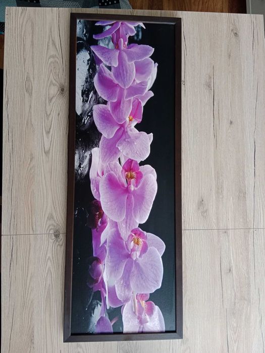 Obraz Storczyki 93cm x 33cm