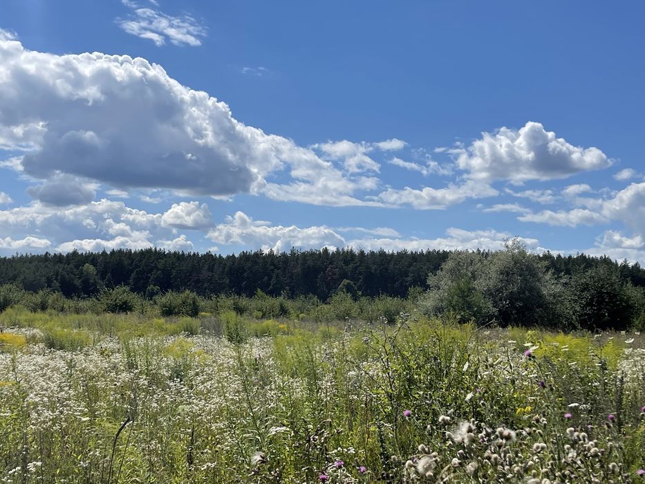 Ділянка 15сот під забудову, Верхоли