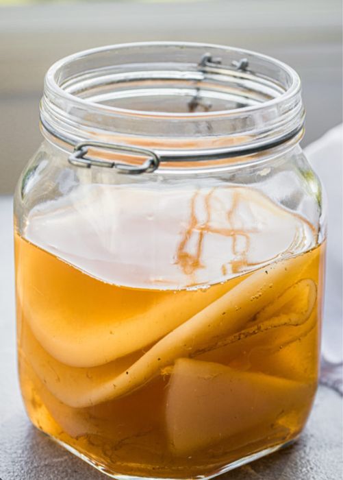 Grzybek herbaciany scoby kombucha