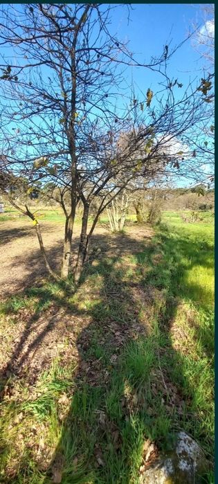 Vendo terreno Rústico