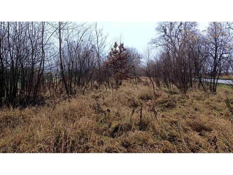 Земельна ділянка (0,0882 а) - с. Стадниця, Вінницька обл.