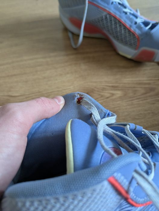 Баскетбольні кросівки Jordan 38