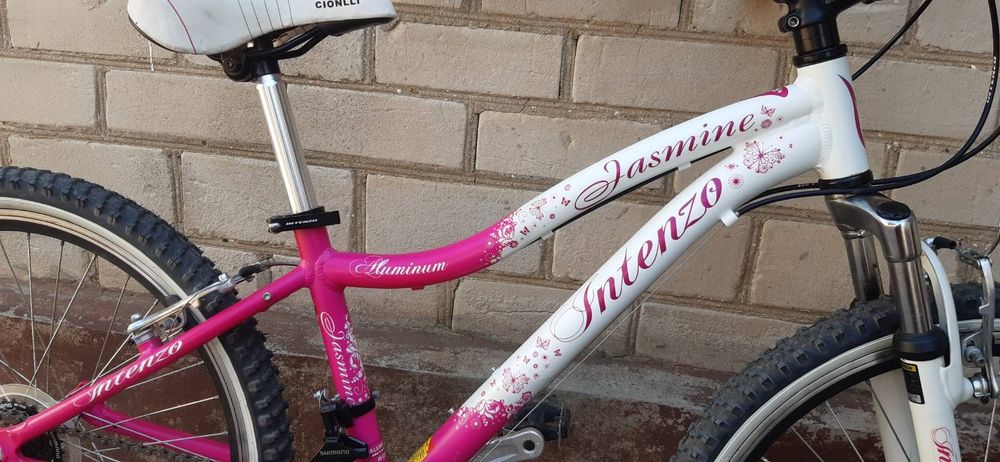 Алюминиевый велосипед Intenzo Jasmine