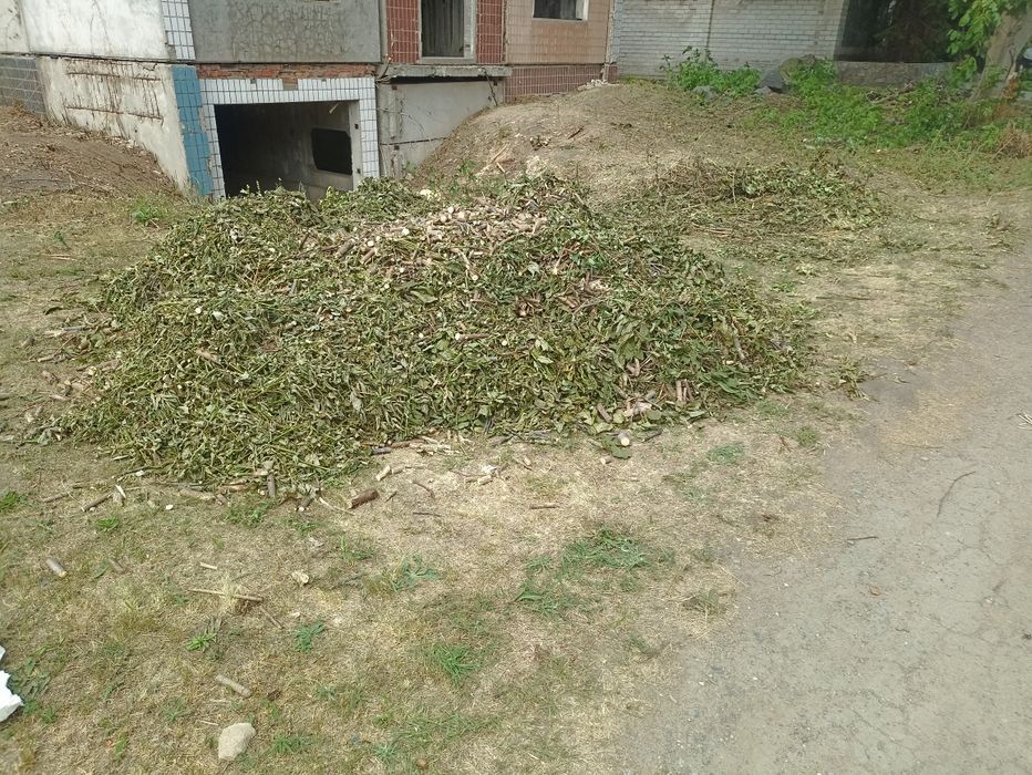 Подрібнювач гілок, измельчитель, дробилка для веток, оренда (аренда).