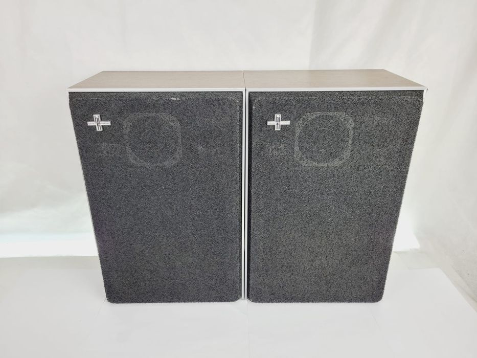 Philips 22 AH 483 / 00 Z 8ohm 80W bas 20cm Belgium