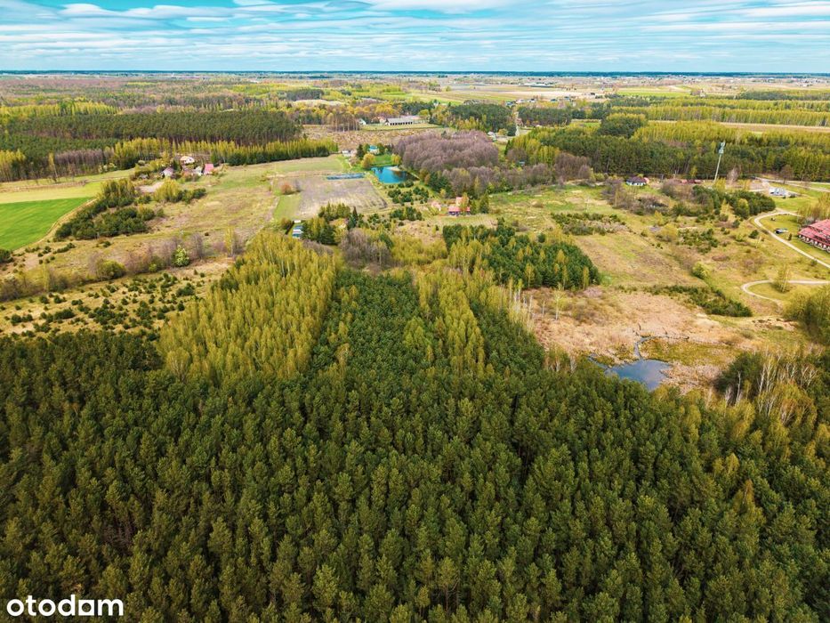 Działka budowlana 1,40 ha Ossa k/ Rawy Maz